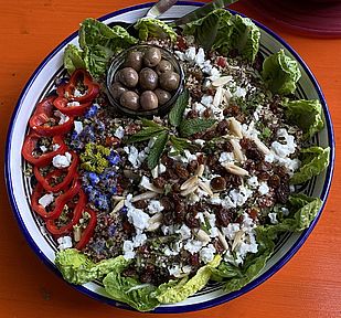 frischer Salat